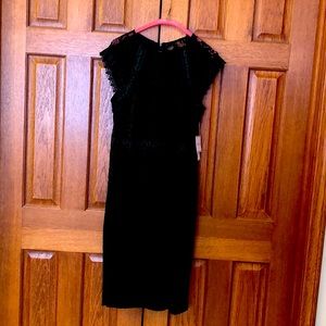 Premier Amour ladies dress